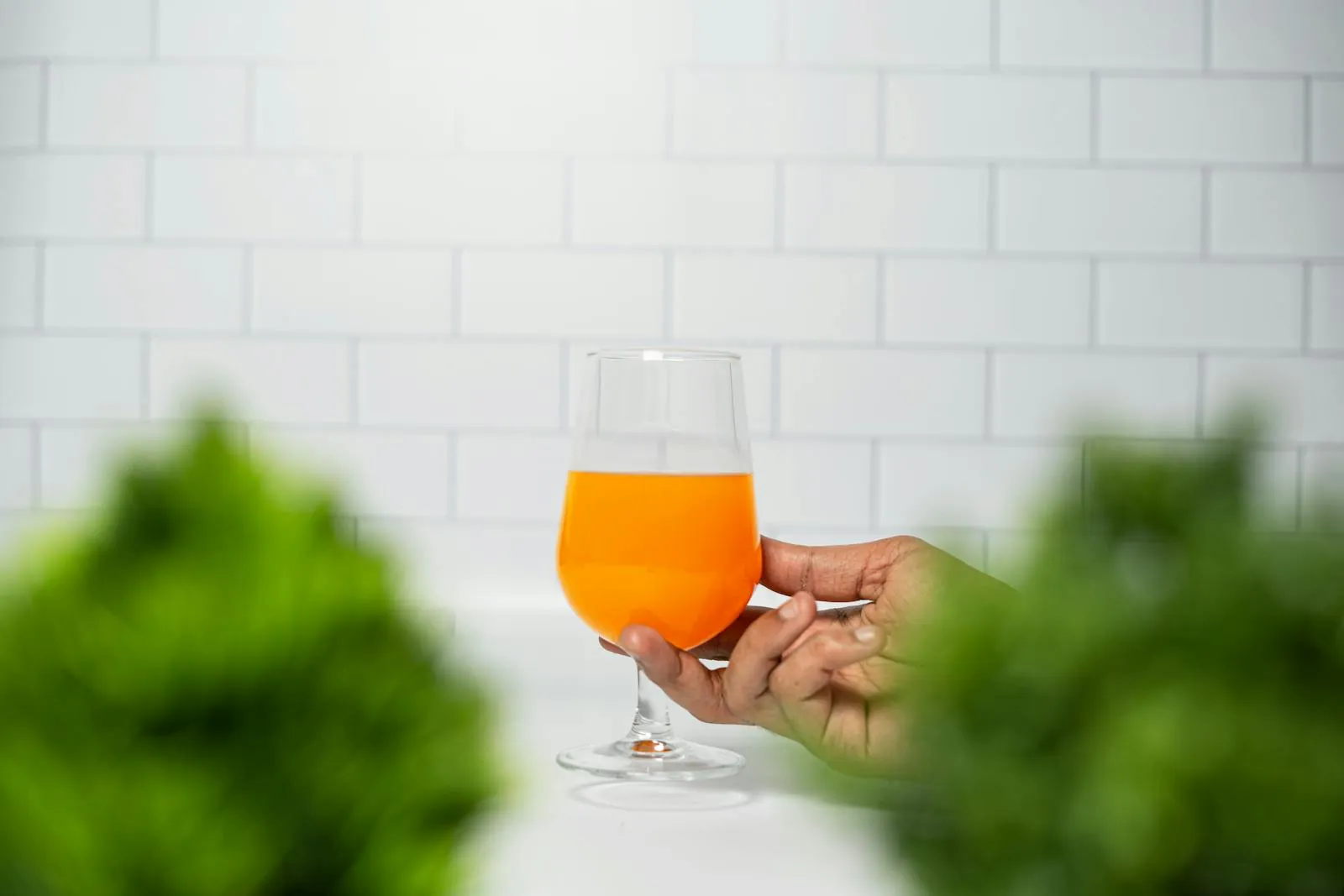 A hand holding a stemmed glass of golden juice against a clean white-tile kitchen wall, green foliage softly framing the foreground, soft daylight.