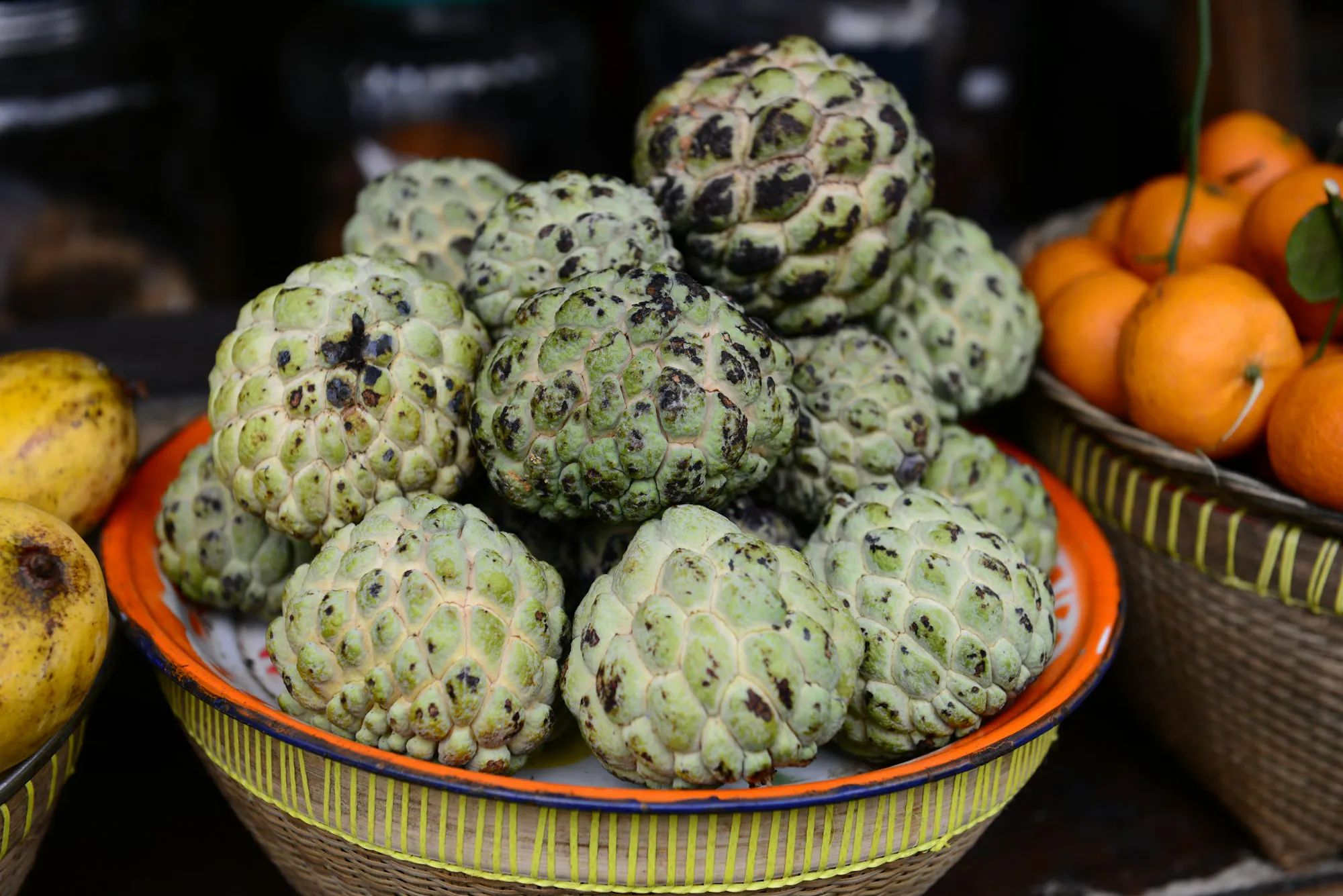 Ripe noni fruit on the branch in warm natural daylight, a calm botanical still