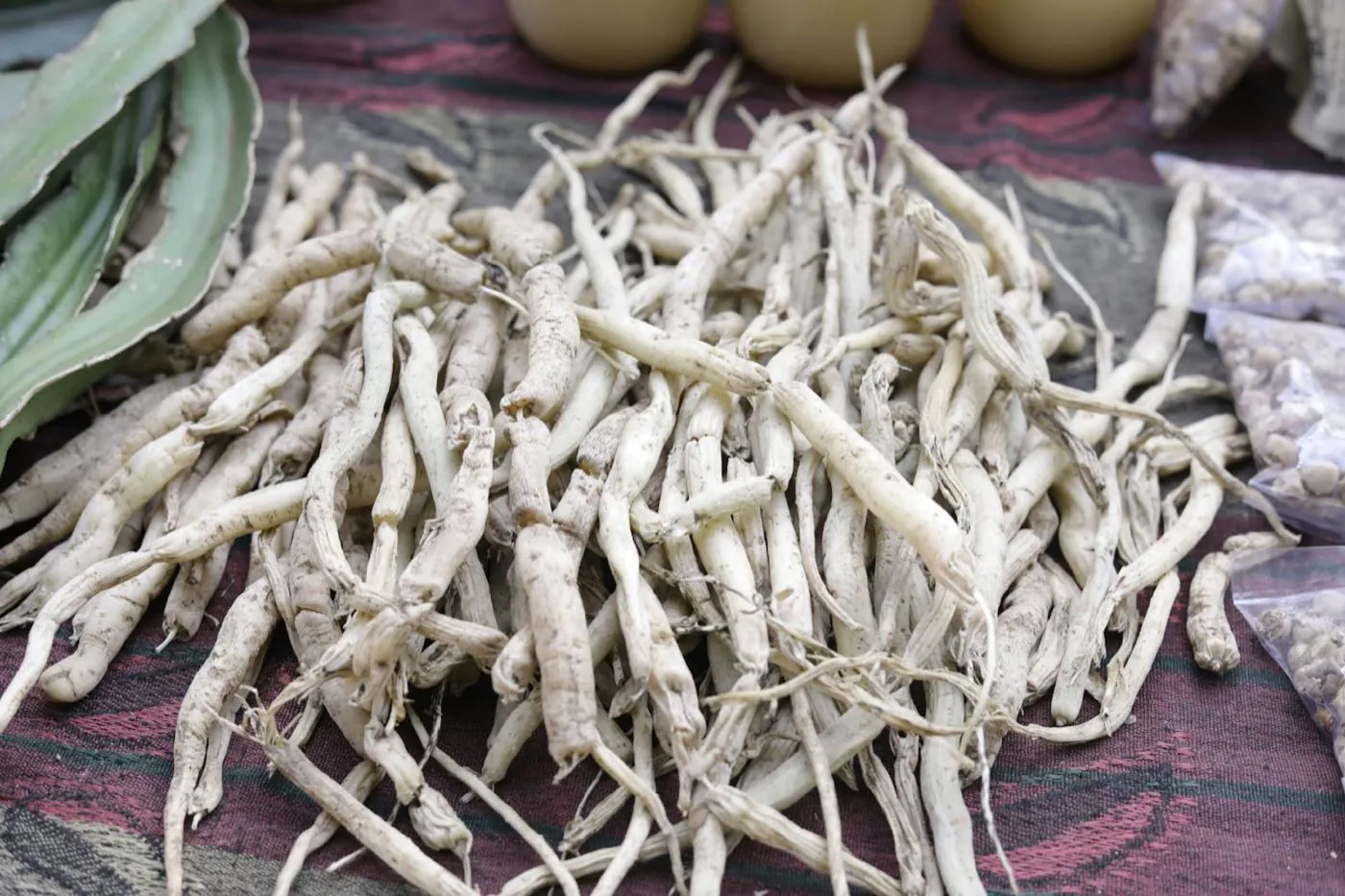 Dried herbal roots laid on a traditional patterned cloth, the heritage Ayurvedic botanical context of southern India
